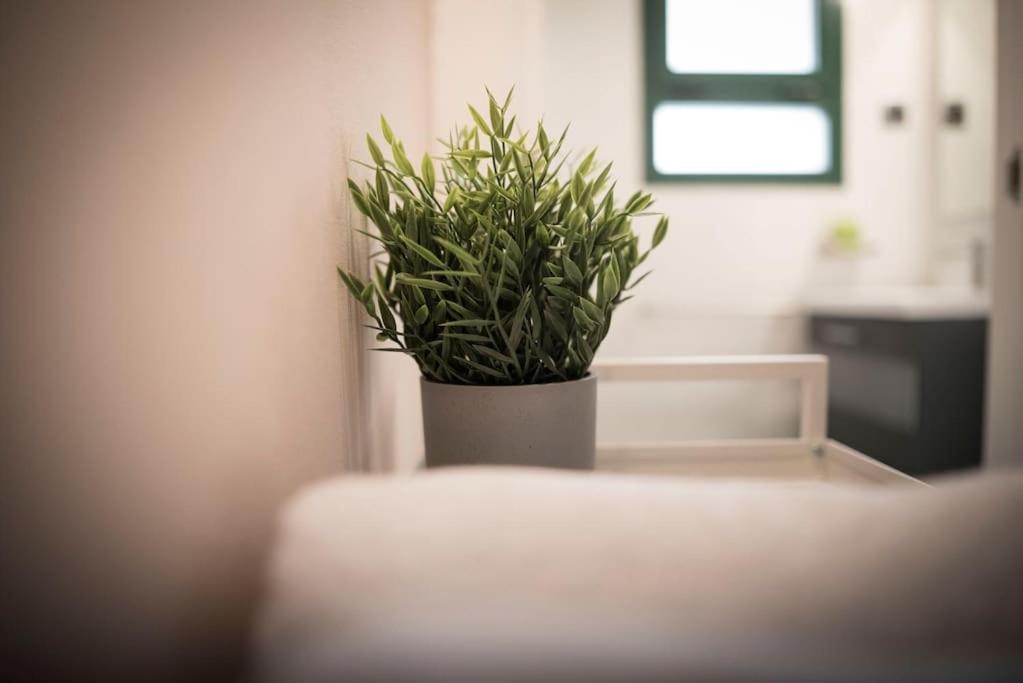 Apartamento En Centro Historico Con Patio Romano San Lorenzo de El Escorial ภายนอก รูปภาพ